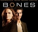  Bones Season 1 ⺹ ԡҡó  1 8 DVD 