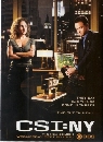  CSI New York Season 7 䢤ջȹҹ  7  6 DVD ҡ