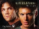  Supernatural Season 6 / һȹ˹š  6 3 DVD ҡ