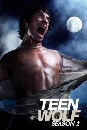  Teen Wolf Season 2 : ˹һ  2 4 DVD 