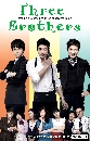 ซีรีย์เกาหลี Three Brothers 3 หล่อ 3 วุ่น ลุ้นรักอลเวง 18 DVD พากย์ไทย