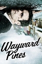  Wayward Pines Season 1 ͧǧ ͹  1 3 DVD ҡ