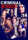  Criminal Minds Season 14 索Ҫҡ  14 3 DVD ҡ