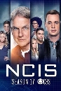 NCIS Season 17 : Naval Criminal Investigative service 17 4 DVD ҡ