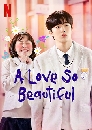  A Love So Beautiful Ѻ ѹѡ (2020) 4 DVD 