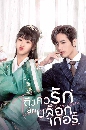 ซีรีย์จีน Time To Fall in Love ถึงคิวรักยัยบล็อกเกอร์ (2022) 4 DVD พากย์ไทย
